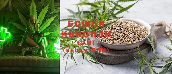 гашик Заволжье