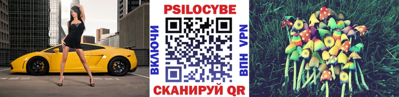 Купить  Кизел  Галлюциногенные грибы Psilocybe 